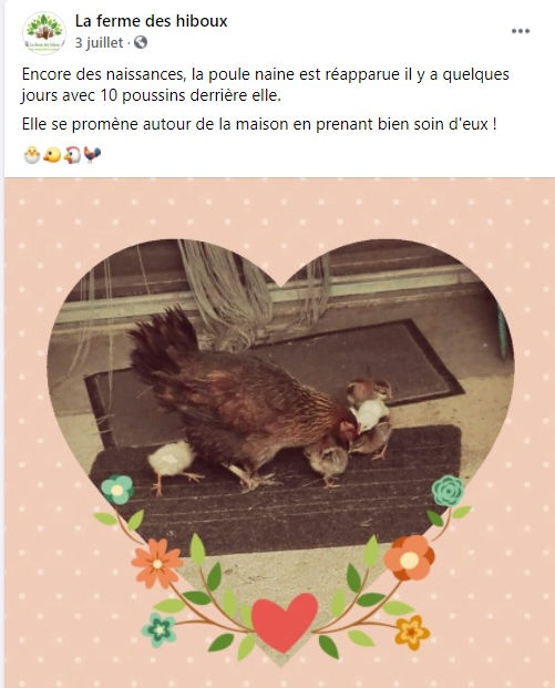 Sans titre.jpg