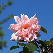DSC00018.JPG