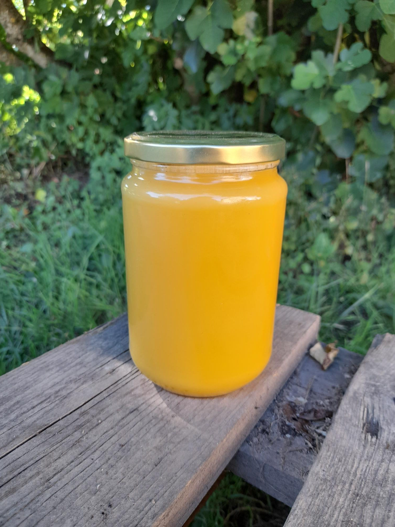 Miel de tournesol - 1kg 