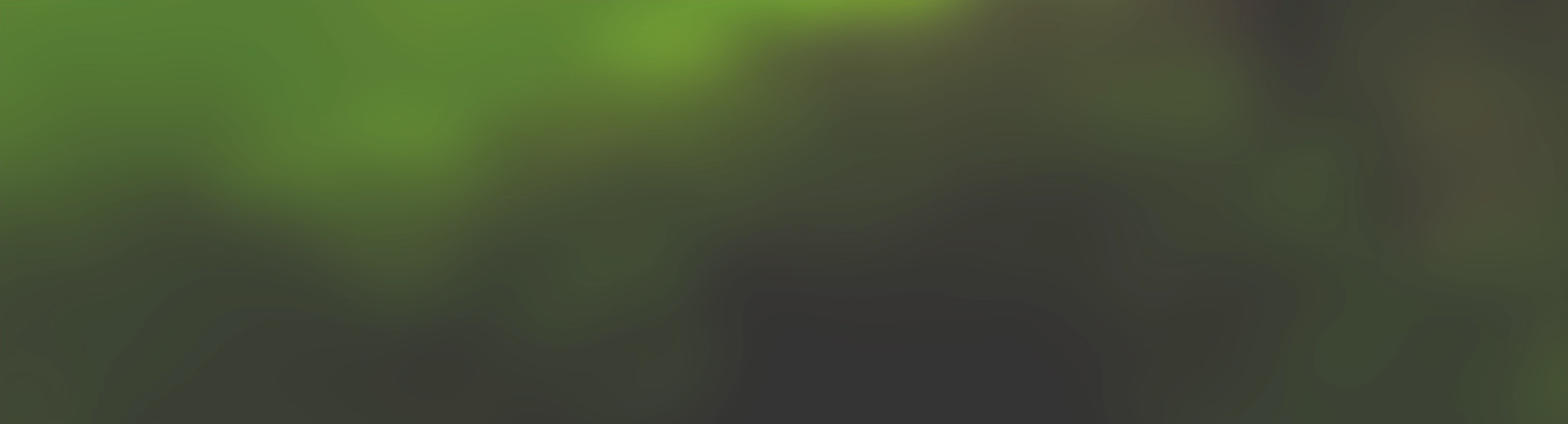 bg blur 3_2x.webp