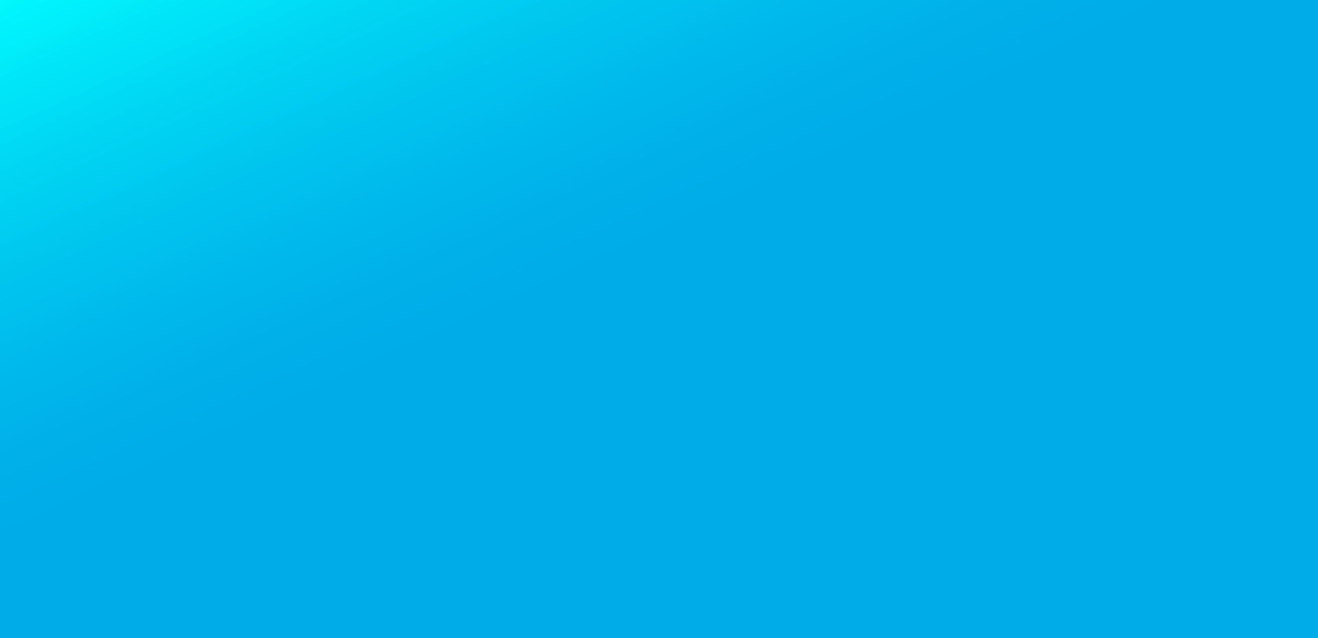 Asset 8.webp