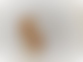 BISCOTTI DE NOEL POUR VOS HÔTES