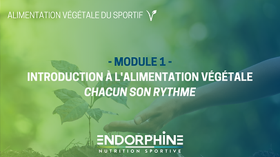 Copie de LES GLUCIDES - COURS EN LIGNE.p