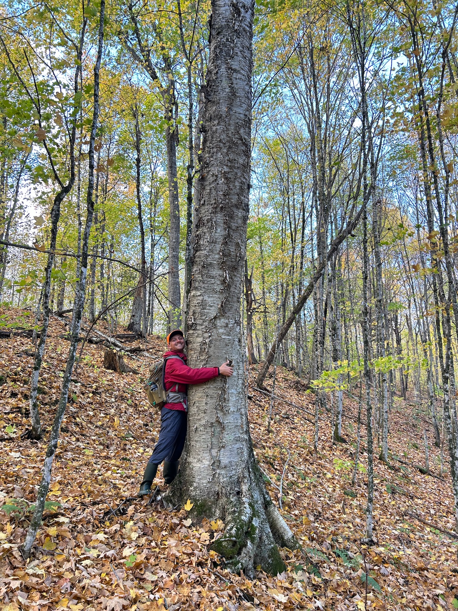 Writer: Noah Gostomski