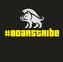 Grosseto Boars.png