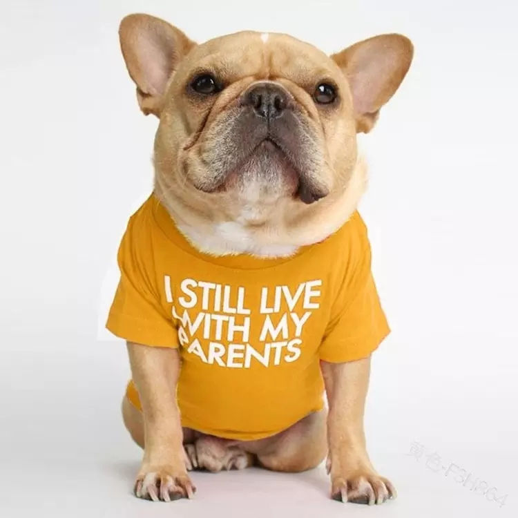 Thumbnail: Funny Pet T Shirt