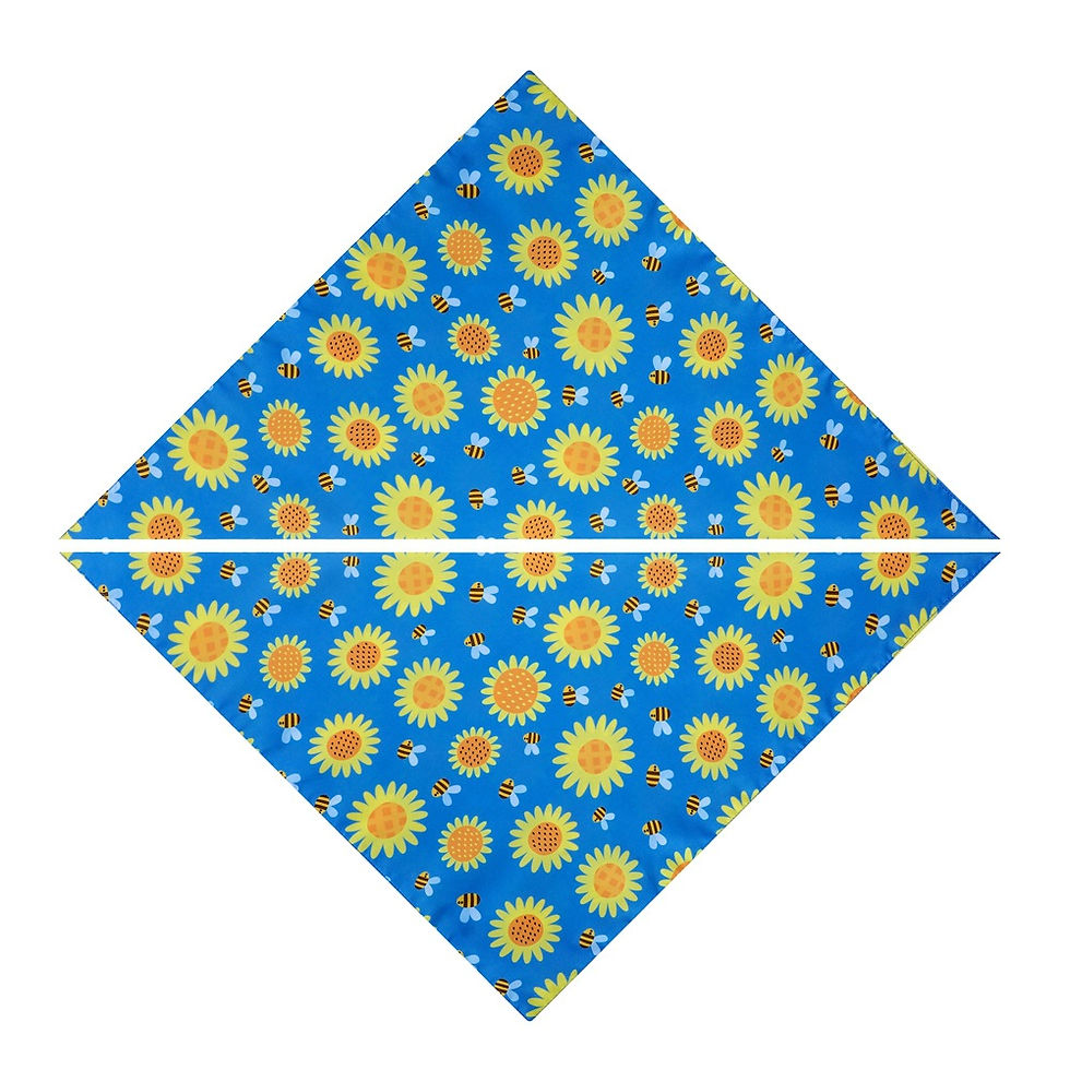Thumbnail: Bandanas (varied designs)