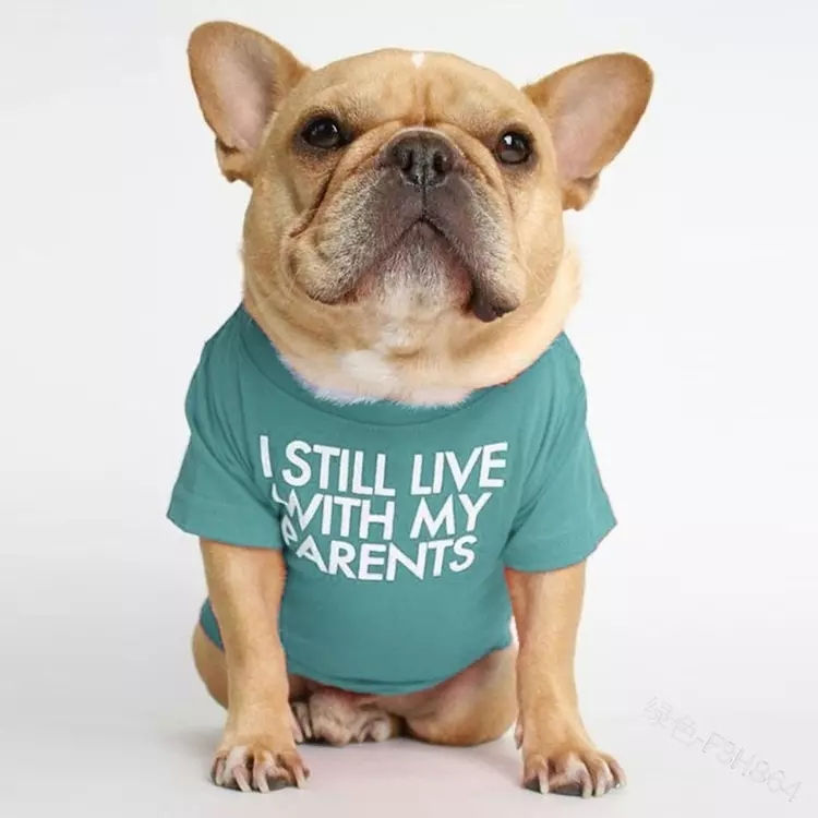 Thumbnail: Funny Pet T Shirt