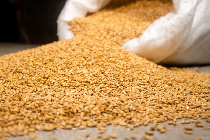 PHOTO-2025-04-08-09-24-15 2.jpg