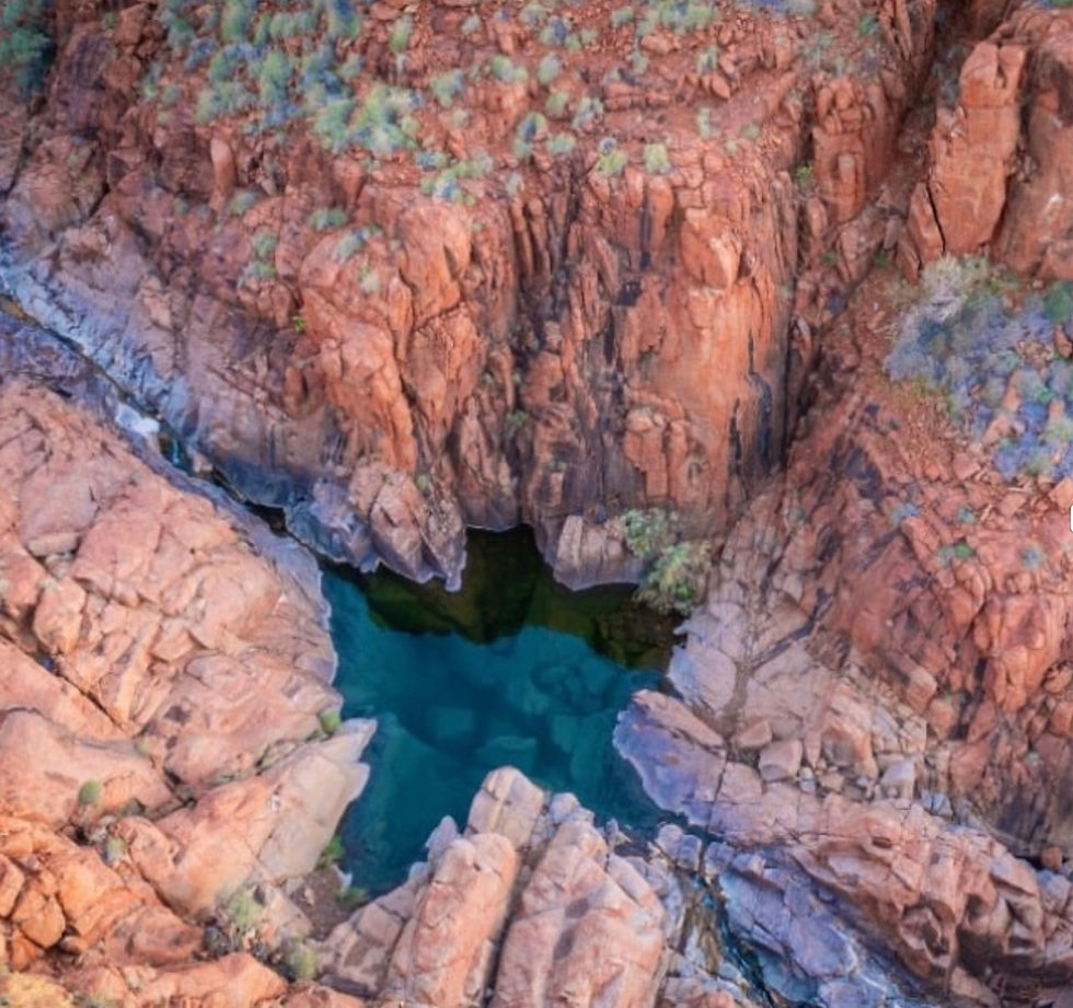 Protecting biodiversity is a critical component of responsible mining