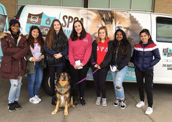 SPCA