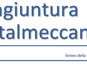 Federmeccanica: la Congiuntura dell'Industria Metalmeccanica - Sintesi 175^ Indagine.