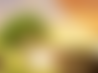 Pubblicati i bandi LIFE 2026.