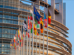 Questionario dell'Industrial Forum della Commissione europea - Scadenza compilazione: 18 settembre 2026