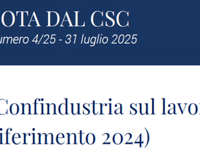 Indagine di Confindustria sul lavoro del 2025 (anno di riferimento 2024).