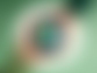 Circ. 69/2024 - Recepimento CSRD - pubblicazione Decreto legislativo 125/2024 sulla rendicontazione di sostenibilità.