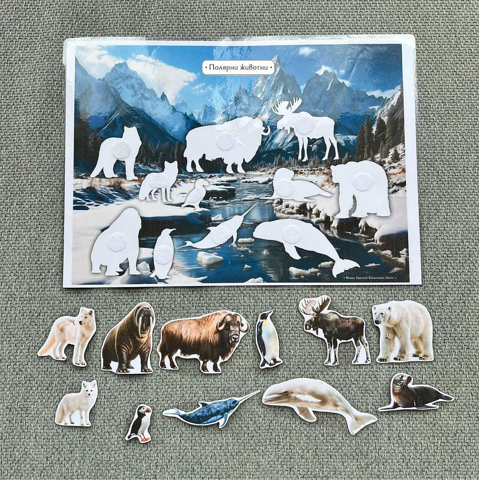 Thumbnail: Polar Animals - Shape Matching
