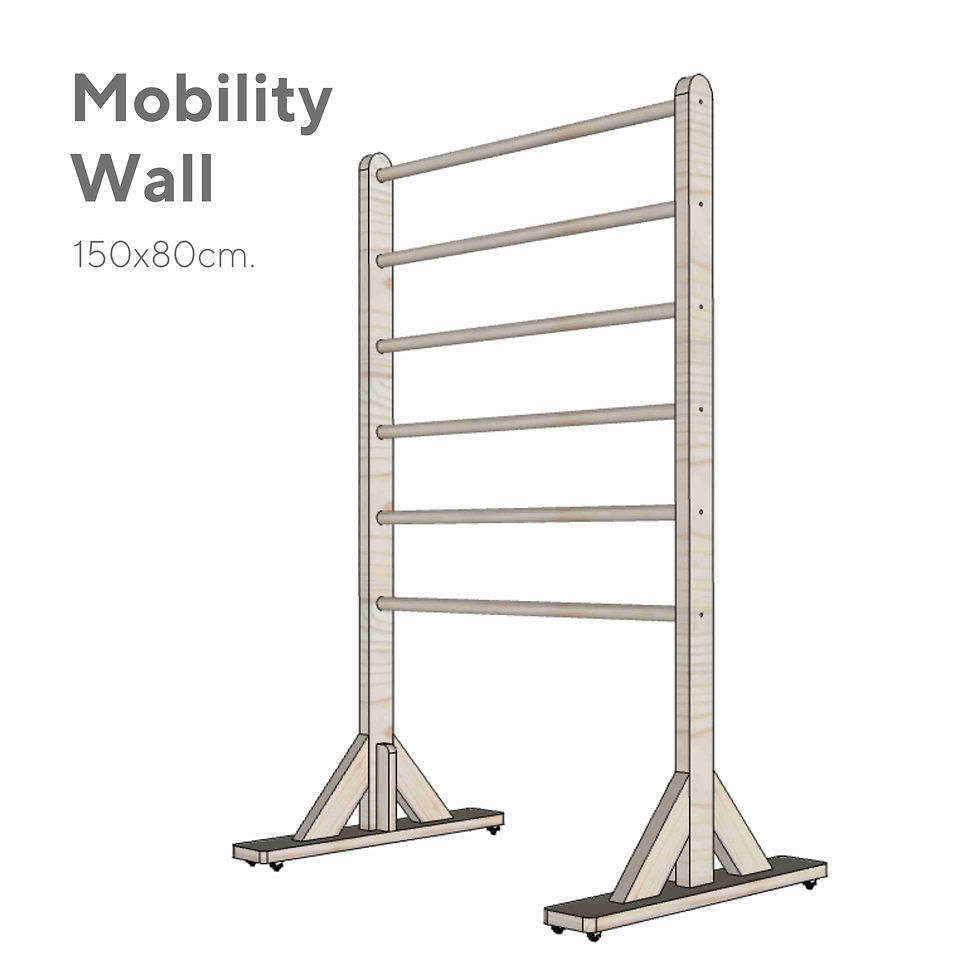 Mobility wall