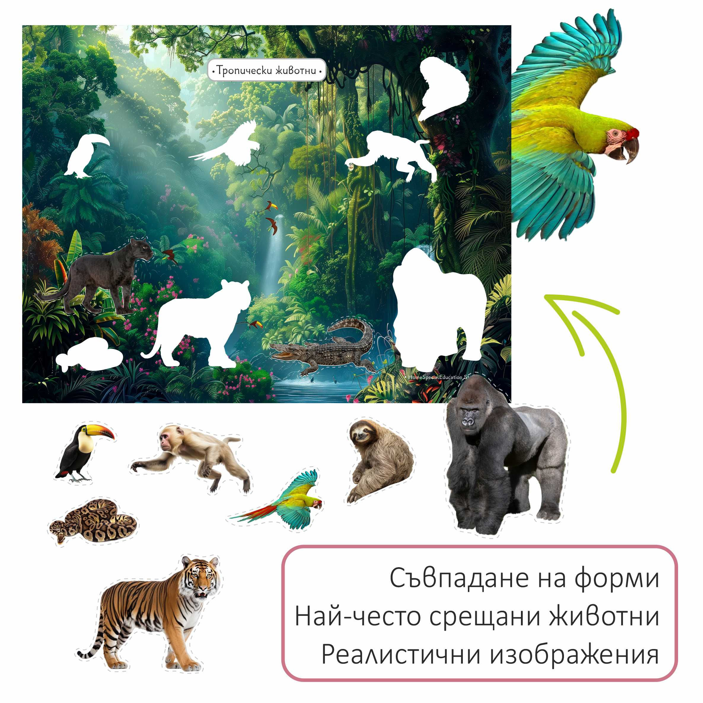 Тропически животни -Съвпадане на форми