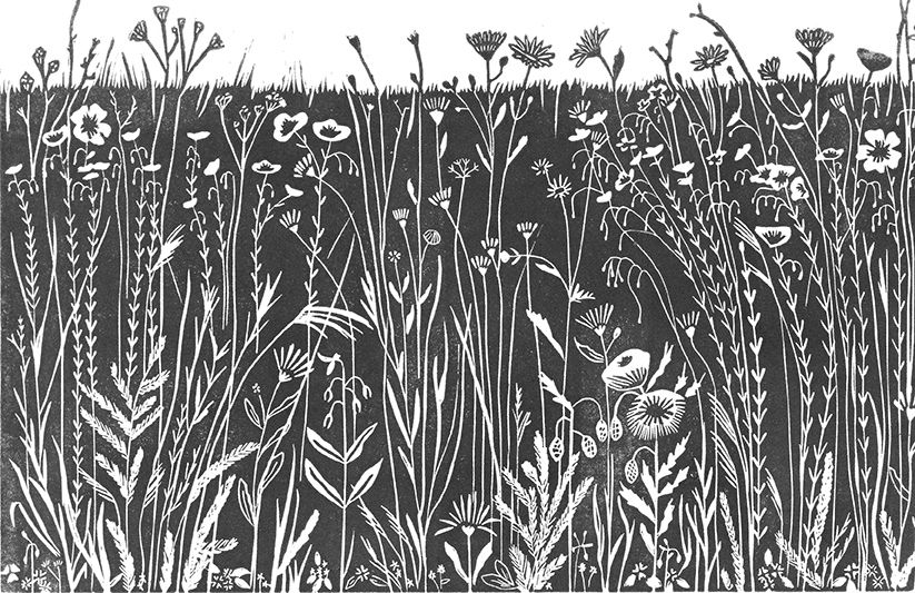 Artwork | Pandemic printmaking with Grace Edkins