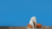 fullbanner-site.jpg