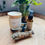 Thumbnail: Sage & Calm Cleanse 