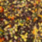 Black Bean and Corn Salad (Cowboy Caviar)