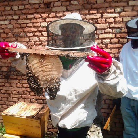 man with beekeeping suit
