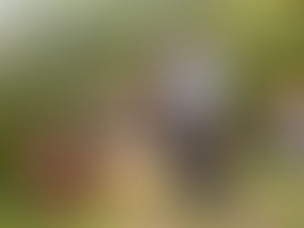 This Thanksgiving Say a Prayer for the World