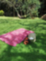 picnic blanket on grass