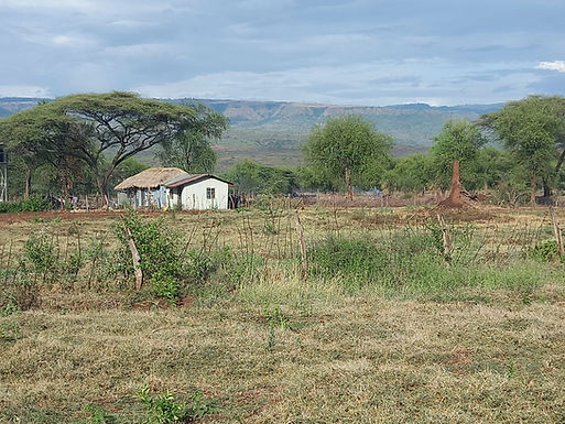 Farming in the dry Kerio Valley