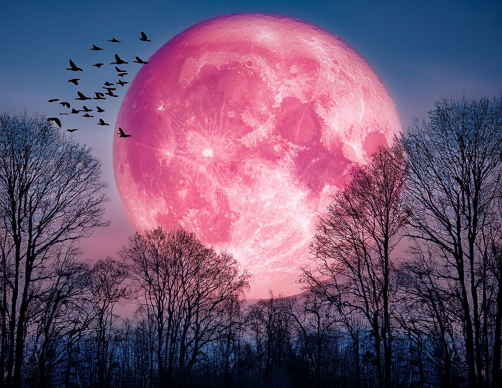 Pink Full Moon Sound Bath