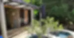 2.webp
