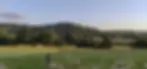 4.webp