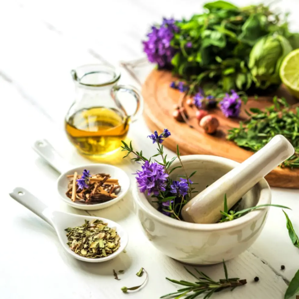 Medicine Making Workshop