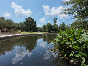 Peaceful pond at East Shore in The Woodalnds, Texas