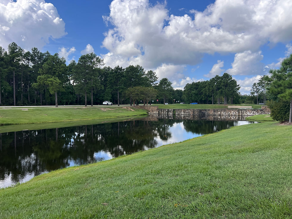 Footbridge Way in Creekside Park: Beautiful Homes and Waterfront Views in The Woodlands