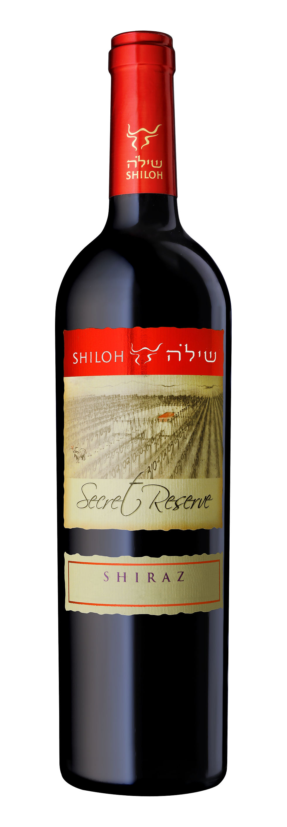 שילה סוד רזרב שיראז – יין אדום יבש מהדרין, 100% שיראז, מיושן 18 חודשים, יקב שילה הרי יהודה כשר בד״צ OK