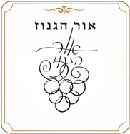 יקב אור הגנוז – יינות כשרים איכותיים מהגליל, יינות אדומים, לבנים, רוזה ויינות פרימיום | משקה מהדרין