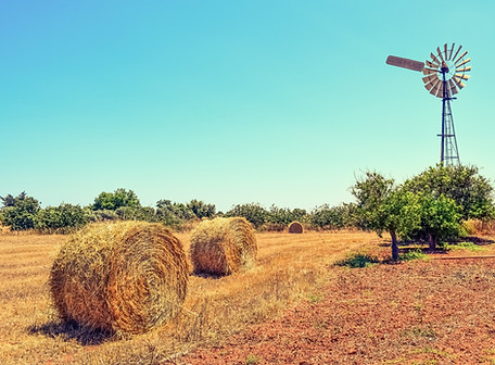 Farm View