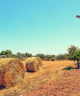 Farm View
