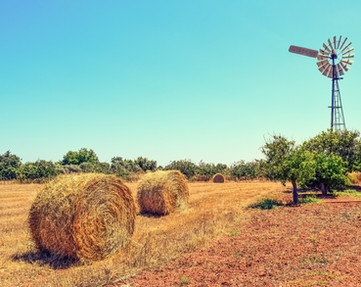 Farm View