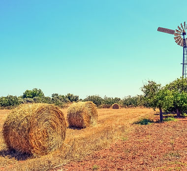 a “loan guarantee program designed to increase the availability of loans to farmers and agricultural co-operatives. Farmers can use these loans to establish, improve, and develop farms, while agricultural co-operatives may also access loans to process, distribute, or market the products of farming.”