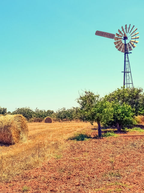 Farm View