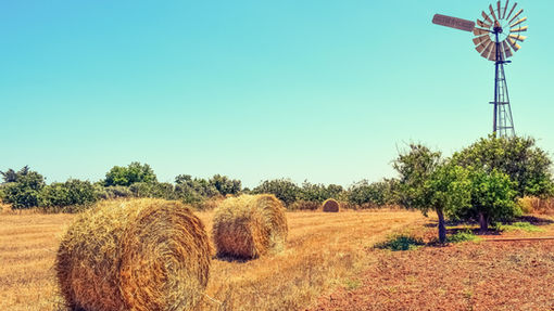 If you're a farmer, landowner, or just someone with an eye on rural tax policy, there's something in the recently passed One Big Beautiful Bill Act (OBBBA) that might interest you. One of the lesser-known—but potentially impactful—provisions of the bill is Section 70437, which introduces a new tax option for people selling farmland to other farmers.