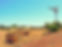 Farm View