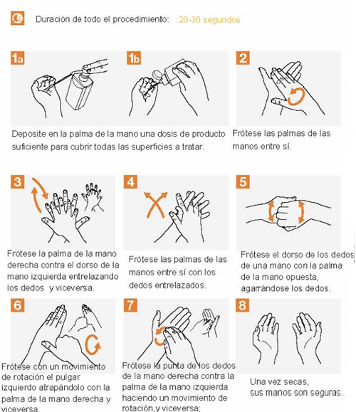 Protocolo Lavado de Manos