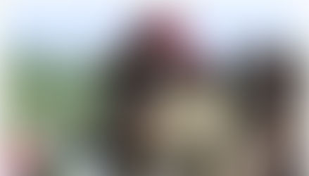 埃塞战局趋稳,乳香供应恢复