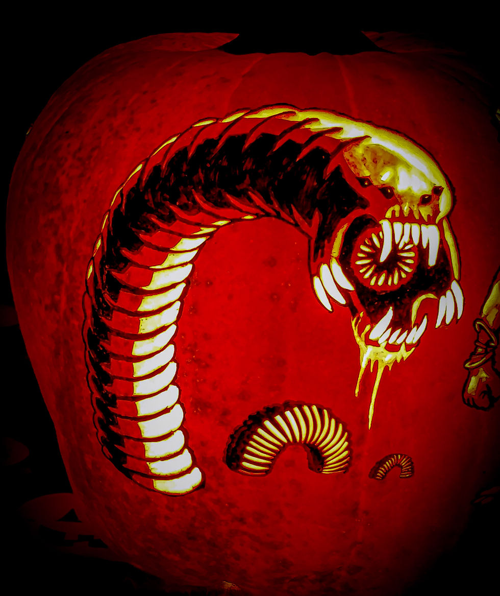 MONGOLIAN DEATH WORM
