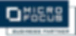 micro-focus-business-partner-logo
